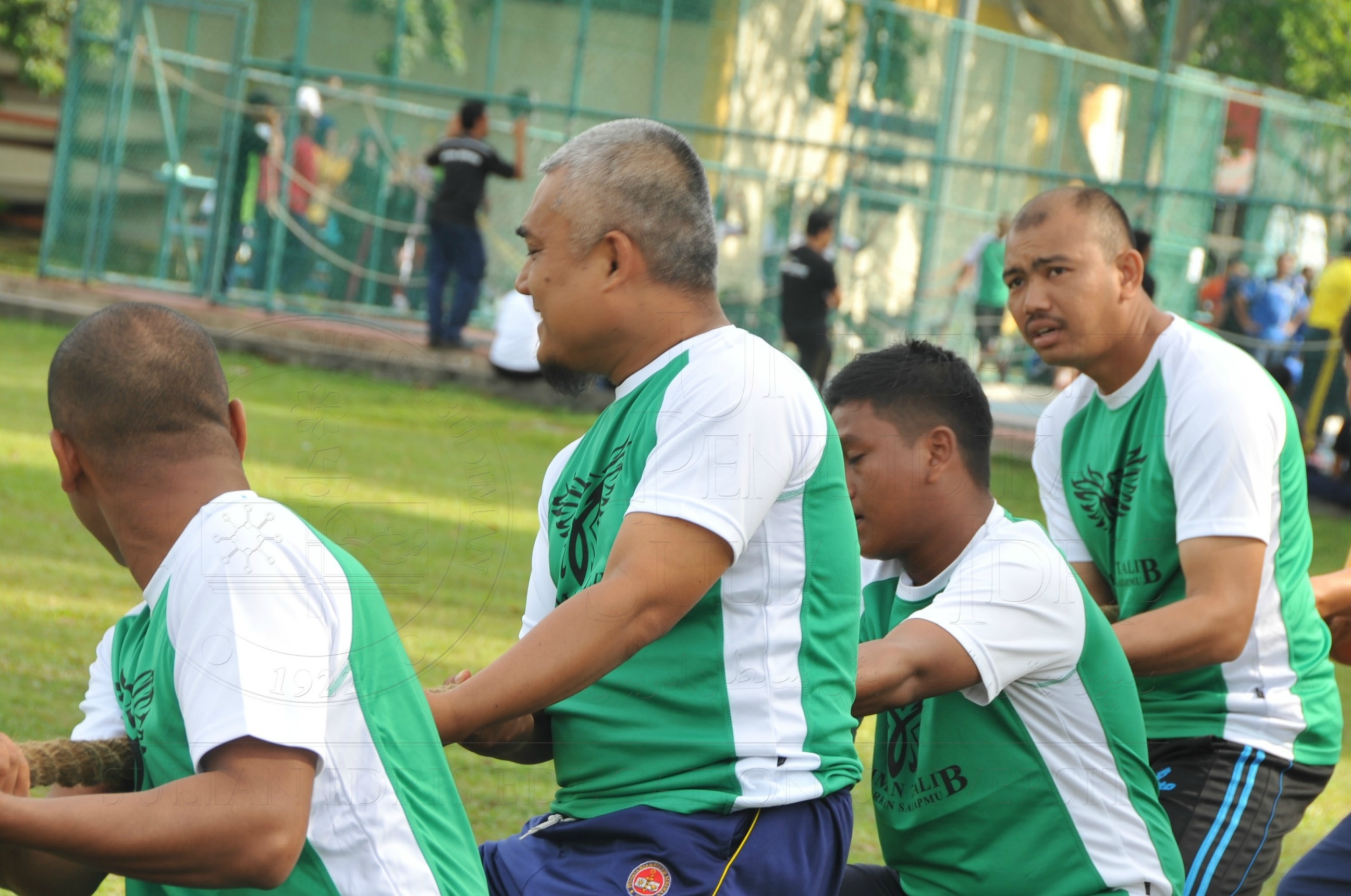 PRO 15 53 KIESTA HAS 5567